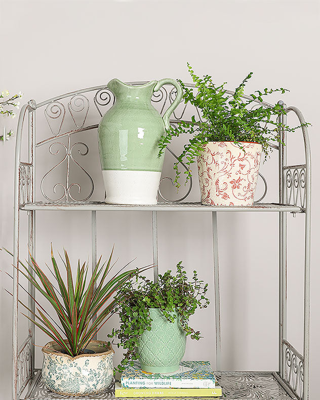plant tier shelf