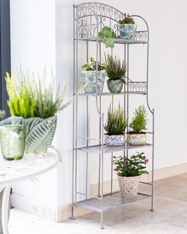 The plant clearance shelf
