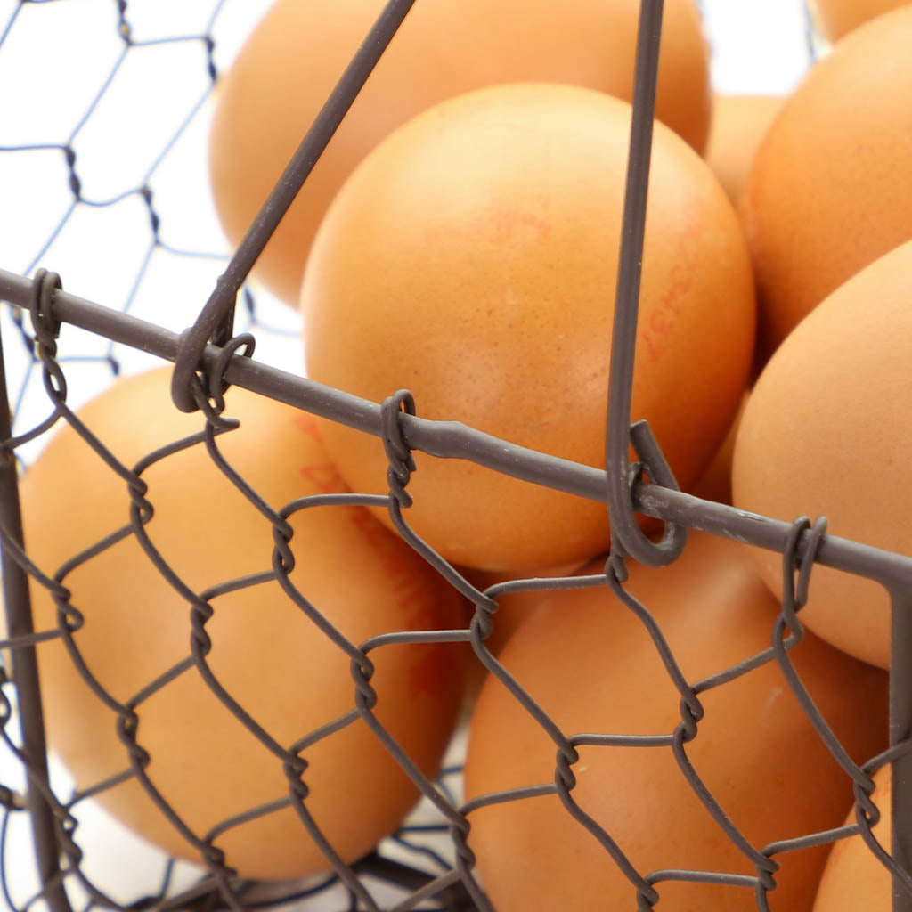 Farmhouse Kitchen Chicken Wire Egg Basket