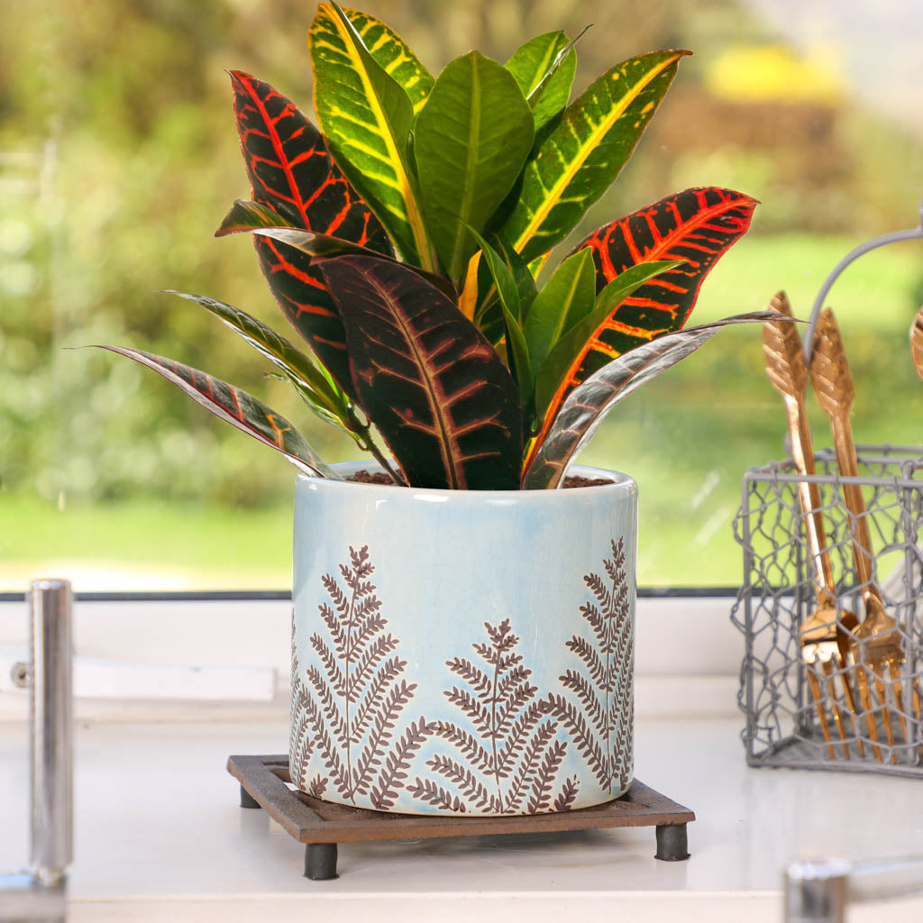 Brown Cast Iron Bird Plant Pot Stand