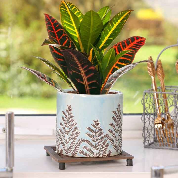 Brown Cast Iron Bird Plant Pot Stand