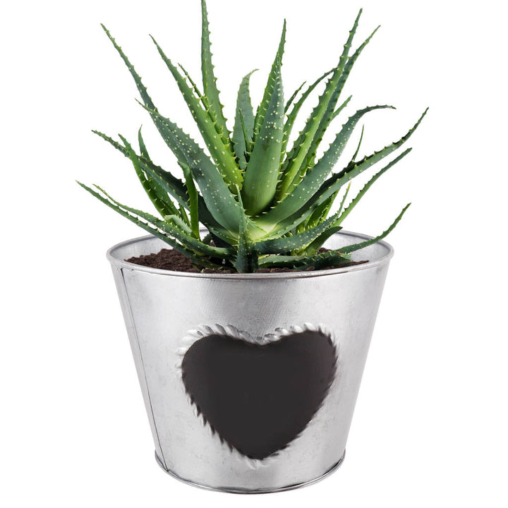 Zinc Love Heart Planter Pot