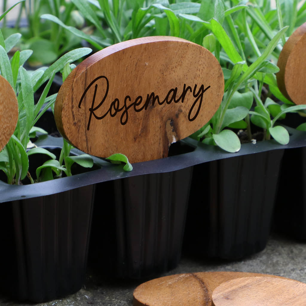 Set of 6 Wooden Write Your Own Plant Markers