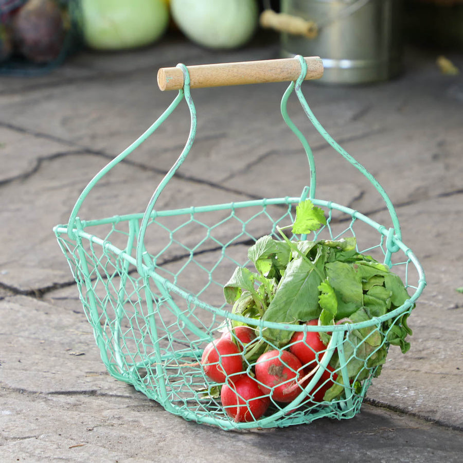 Grow your own veg basket