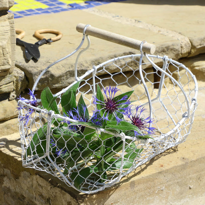 Farmhouse White Wire Garden Flower Trug