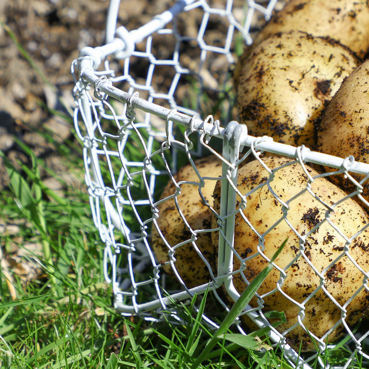 Personalised White Chickenwire Veg Storage Basket