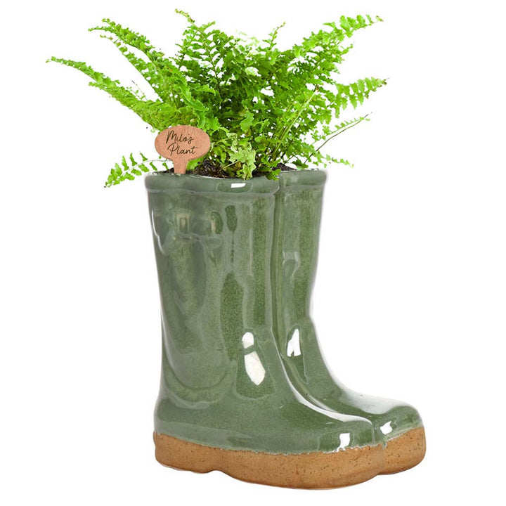wellingtons flower pot