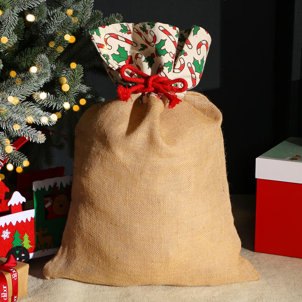 Festive Present Gift Bag