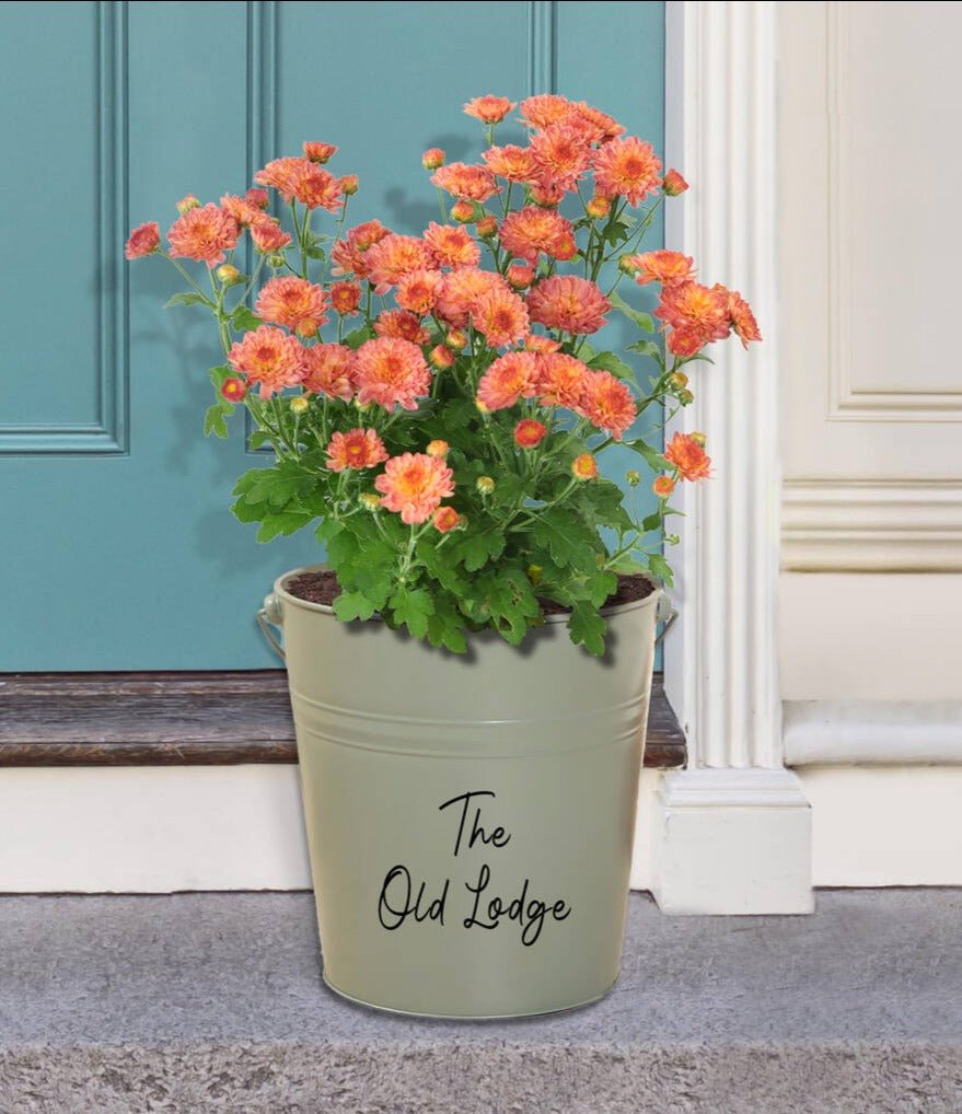 Personalised Sage Green Bucket Planter