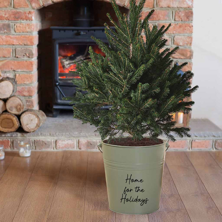 Metal Outdoor Planter