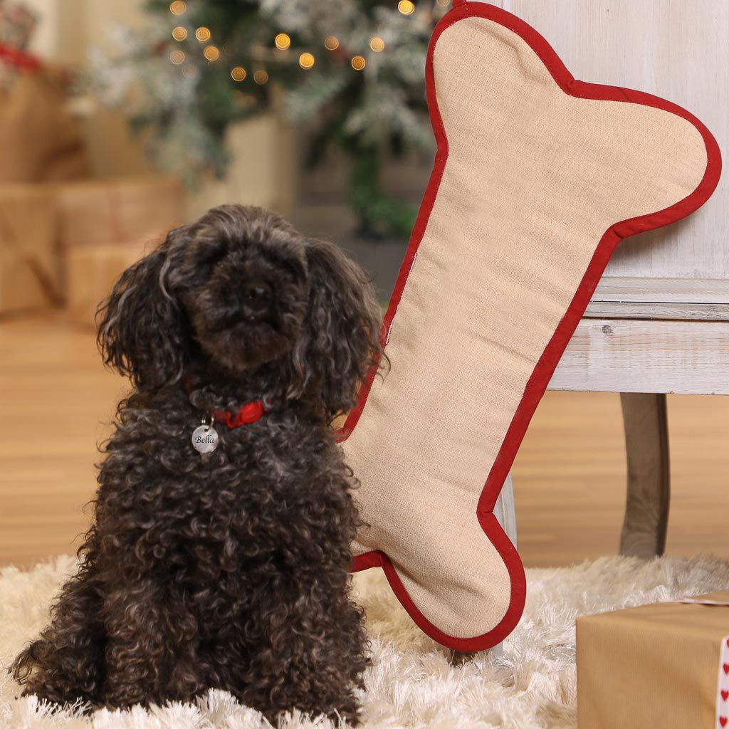 Pet Treats Bone Christmas Stocking