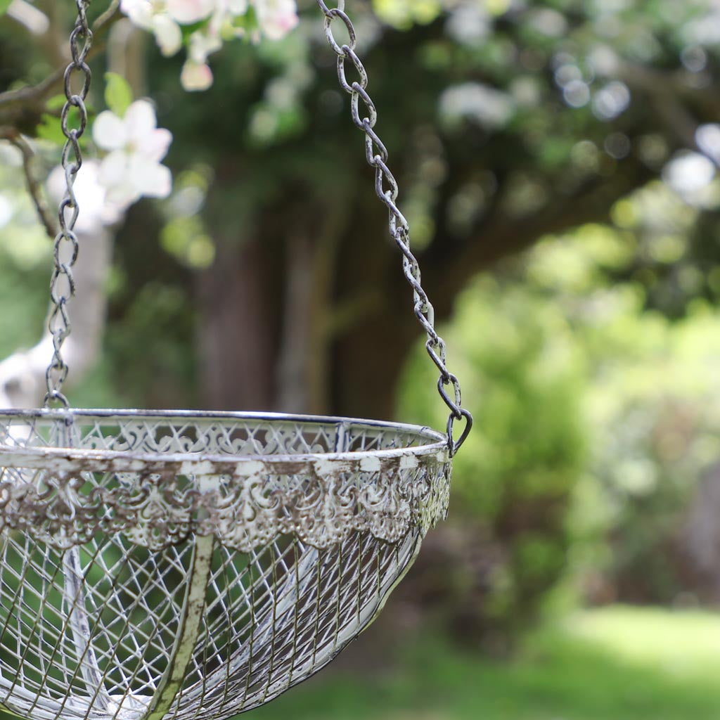 traditional hanging plant pot