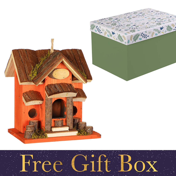 Bright Orange Birds Nest