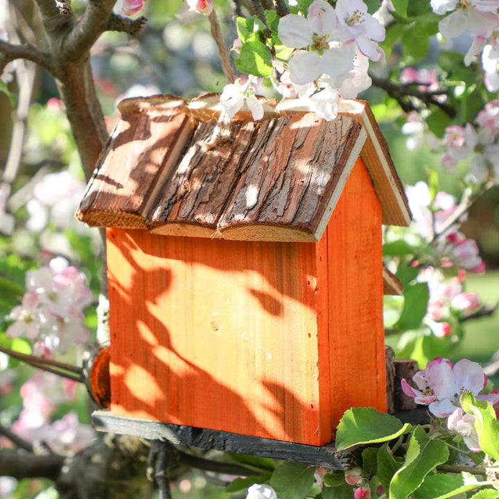 Sunset Orange Wild Bird House