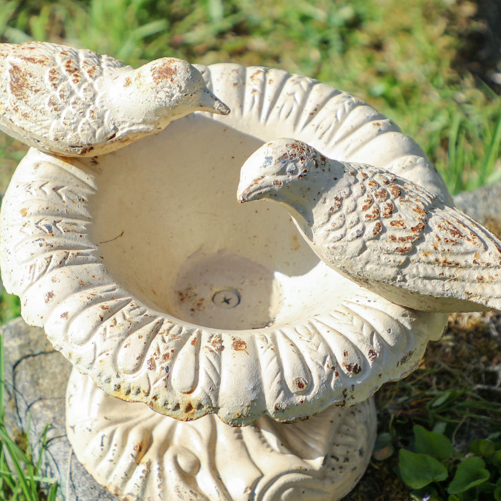 Ivory White Ornate Bird Bath