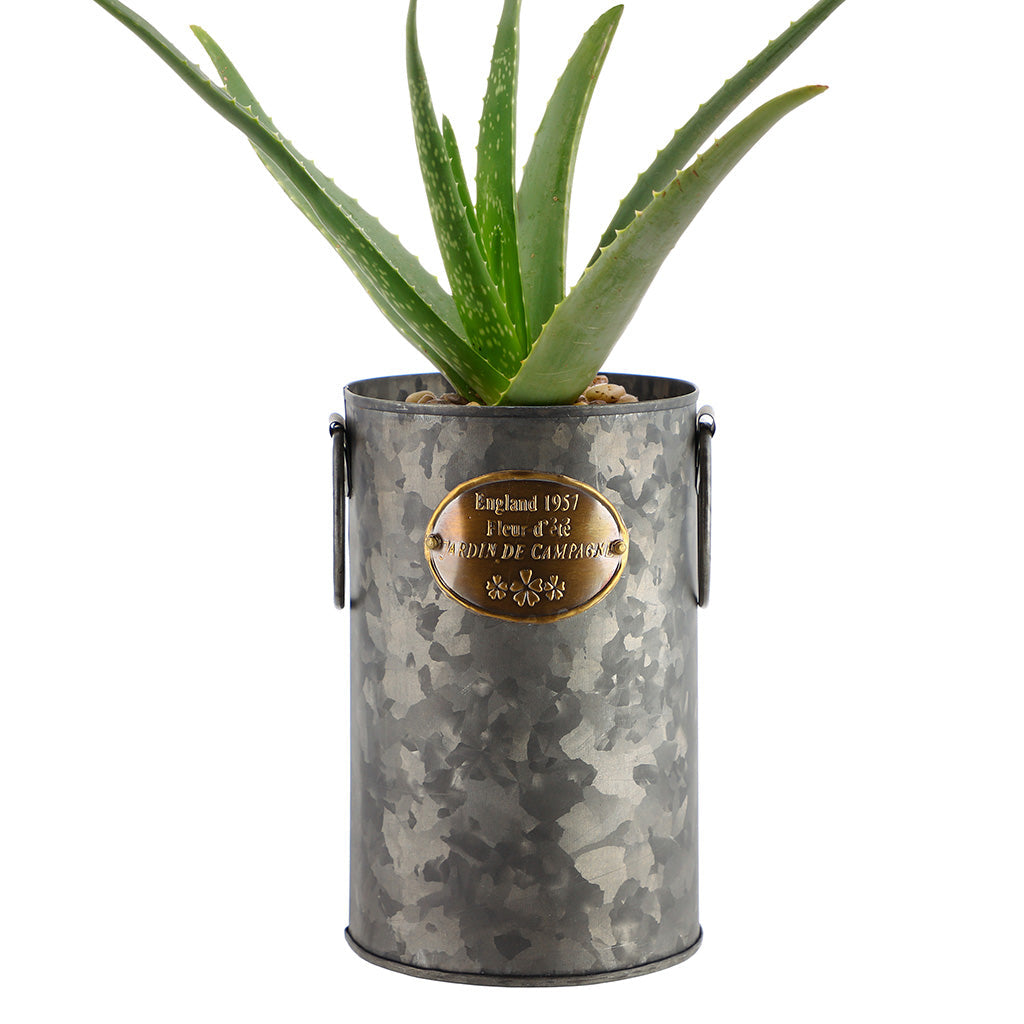 Indoor Urban Planter