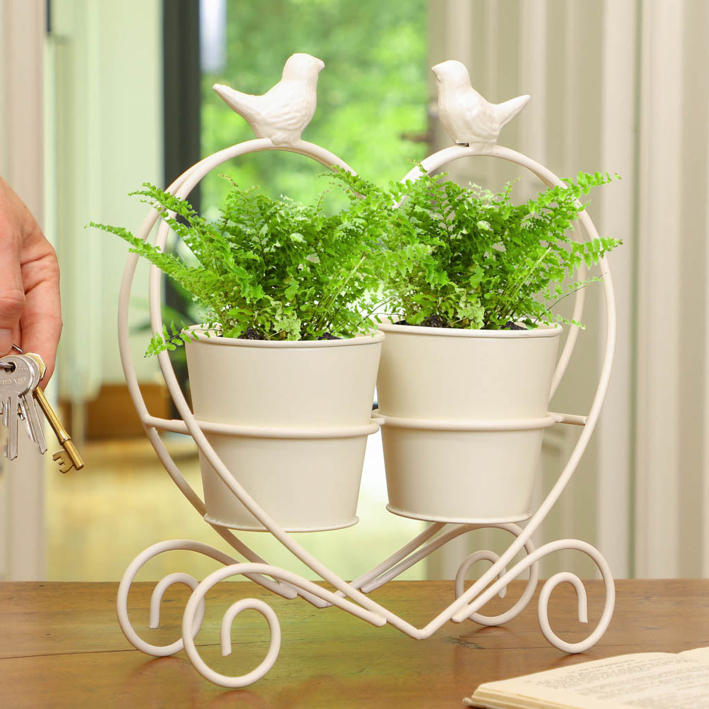 Love Birds Centrepiece Planter