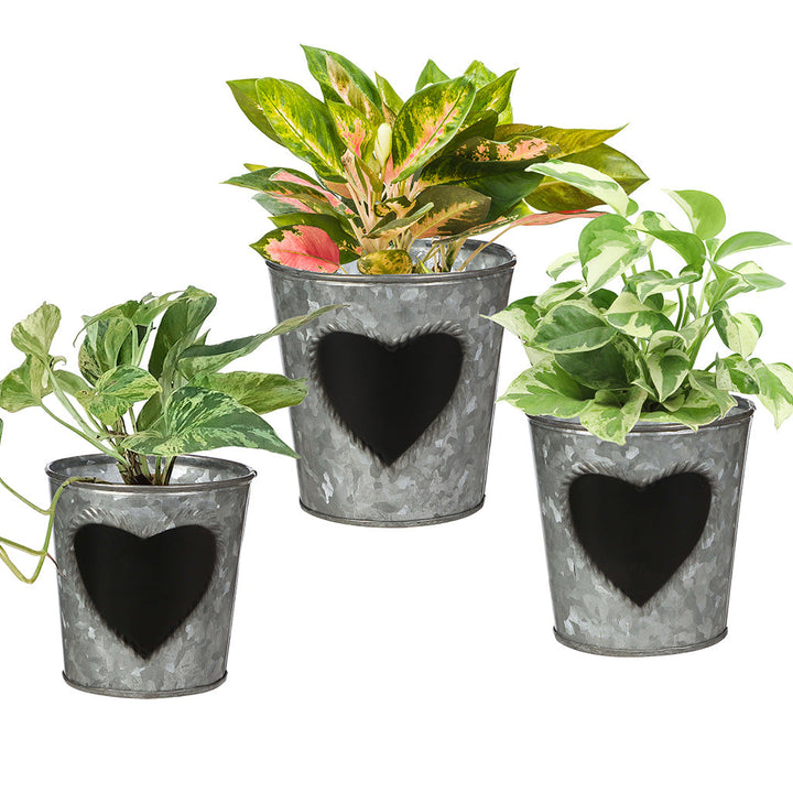 Set of 3 Potting Shed Planters Gift