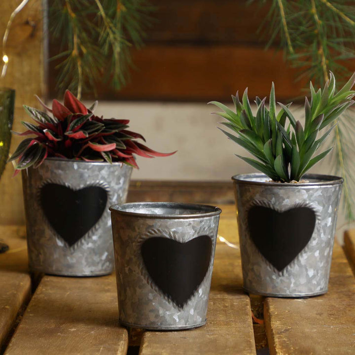 Set of 3 Potting Shed Planters Gift