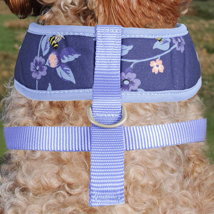 dog walking harness