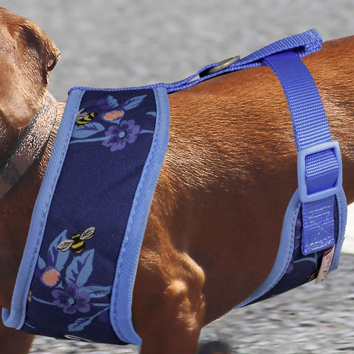 pet harness