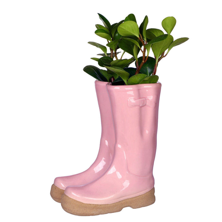 welly boot planter pot