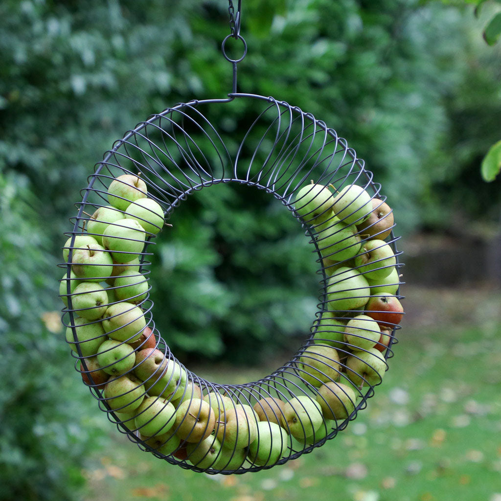 Large Bird Feeder