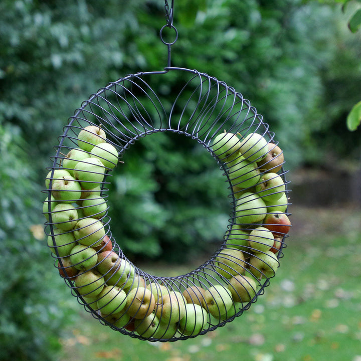Large Bird Feeder