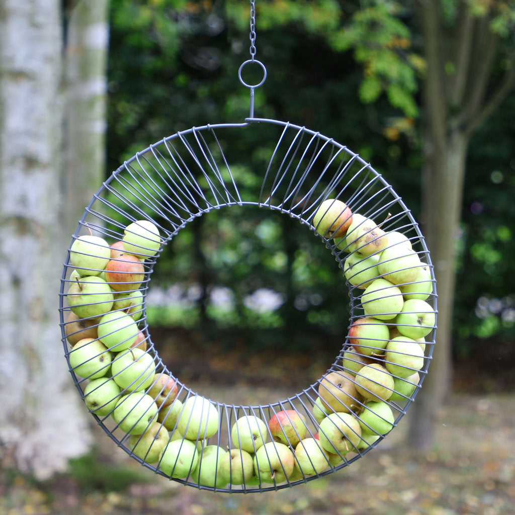 Apple Wild Bird Feeder