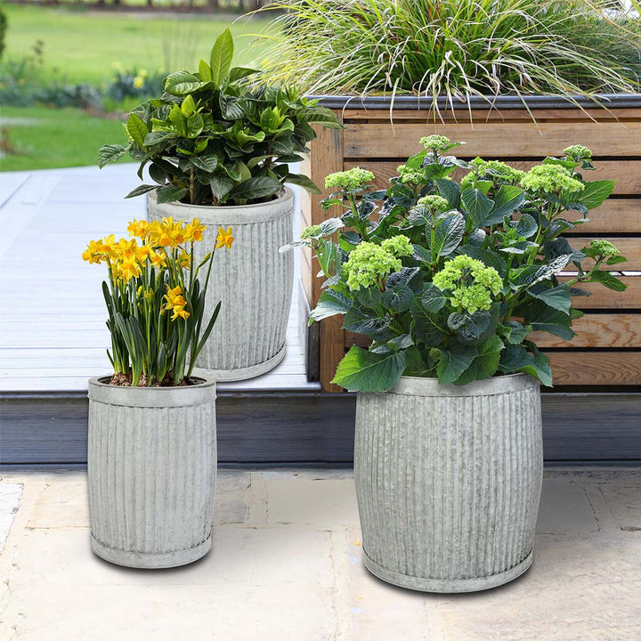 metal dolly tub plant pots