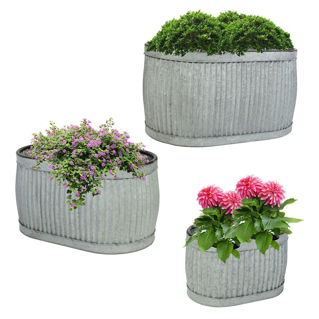 metal tub plant pots
