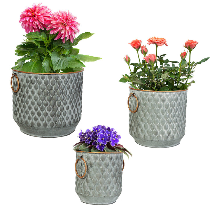 garden tub plant pots