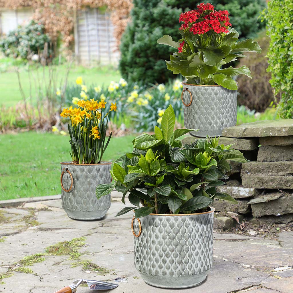 outdoor bucket planter set