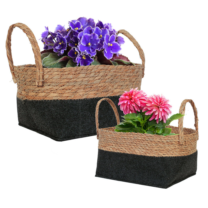 basket plant pots