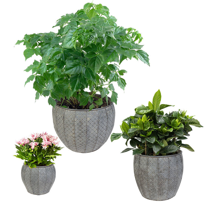 3 garden plant pots