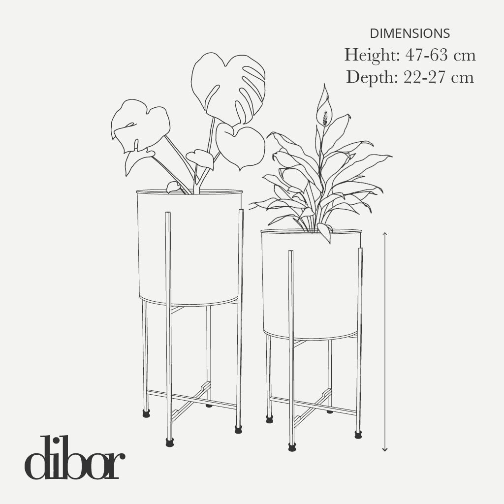 Indoor house plant pot size guide