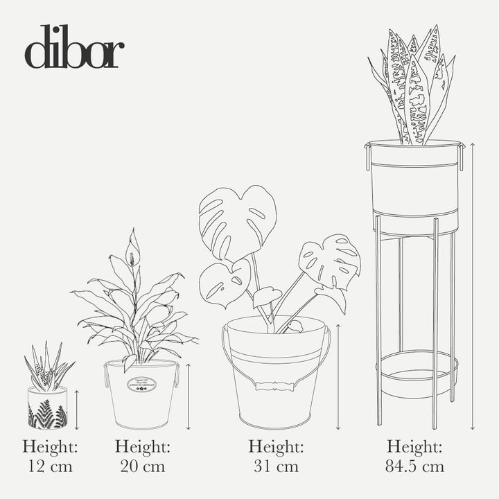 Indoor house plant herb flower pot size guide