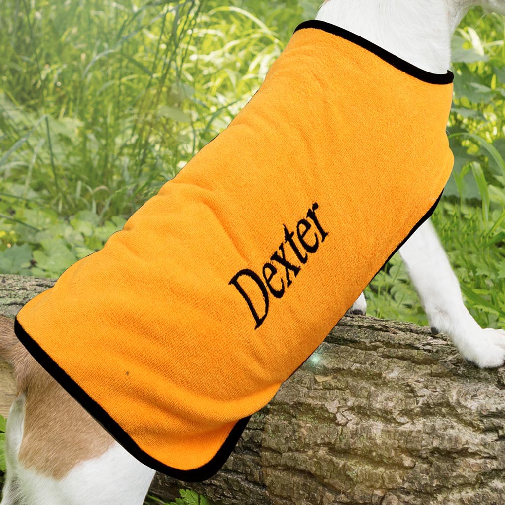 dog coat