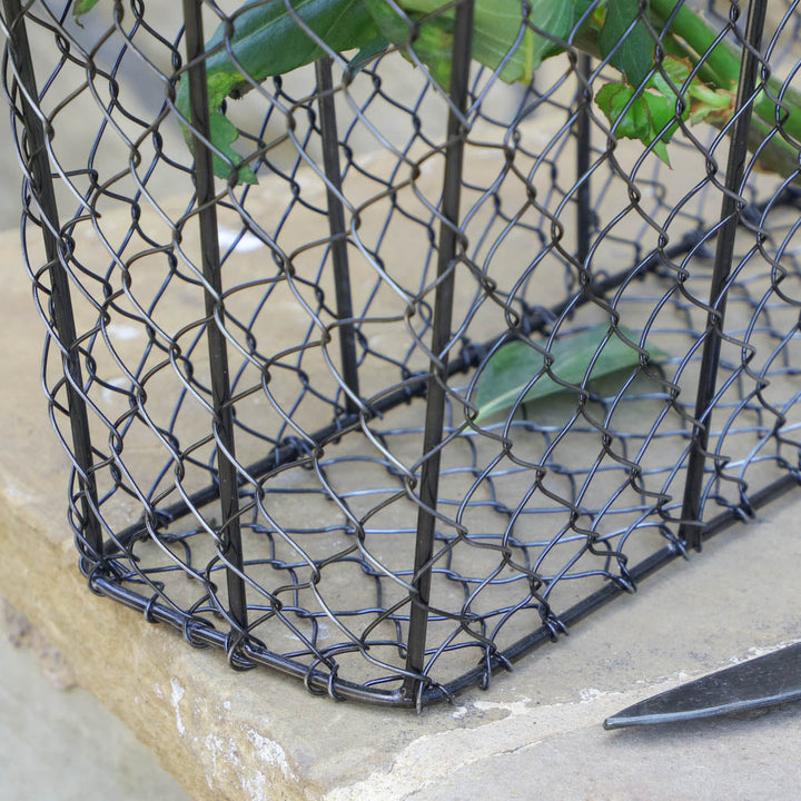 Chickenwire Flower Picking Trug