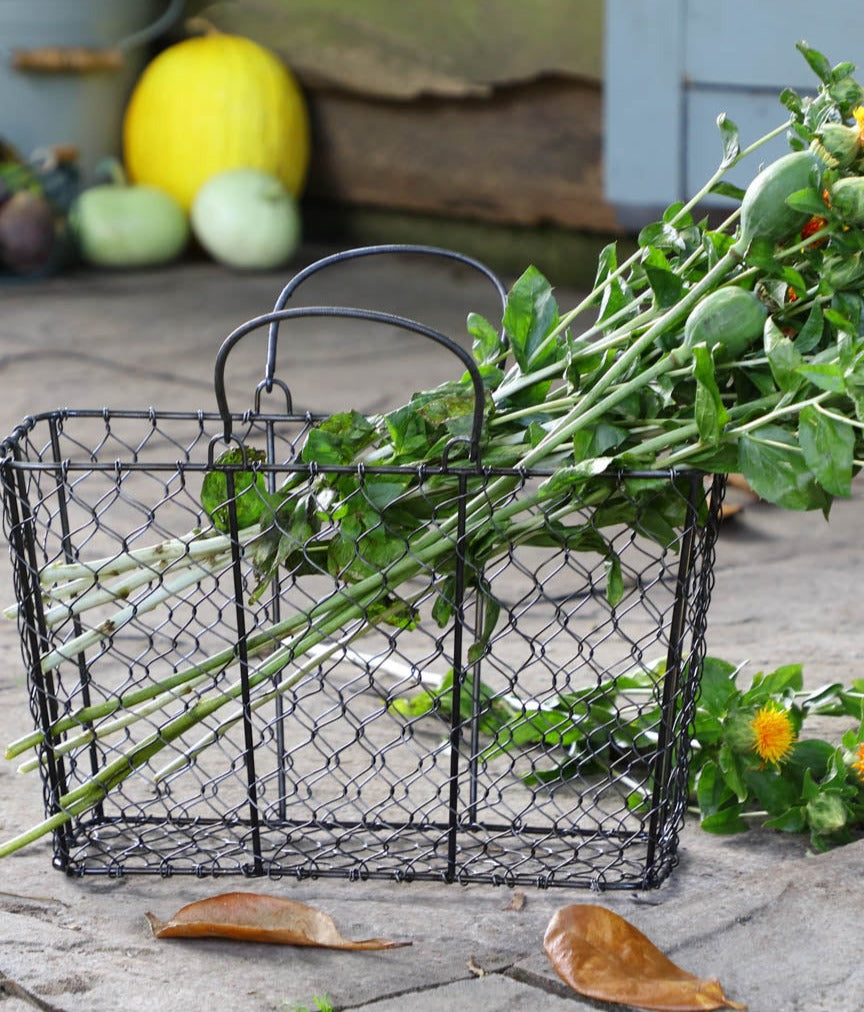 Chickenwire Flower Picking Trug